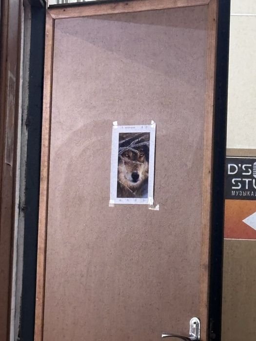 Donna Camicia Beige Taglia Unica