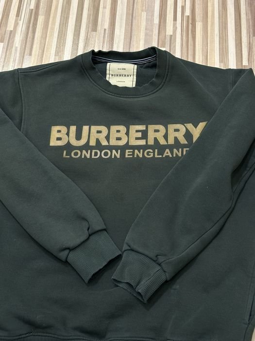 Мужской Burberry Свитшот Зелёный 38