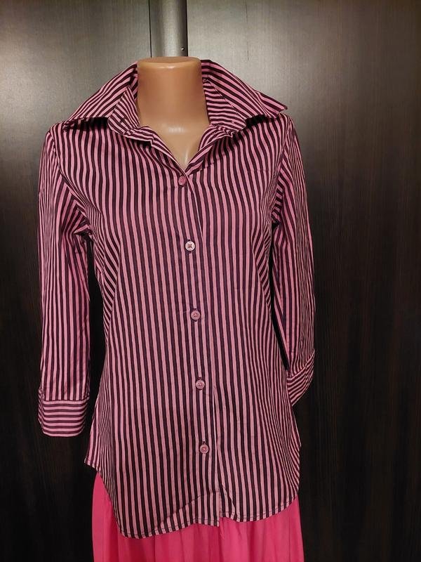 Shirts & Blouses