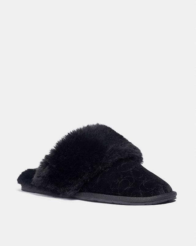 Women Coach Slide Black 37