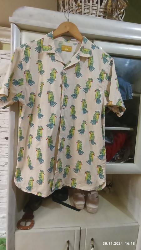 Женская Fred Рубашка Зелёный Хлопок 36 / S / 44