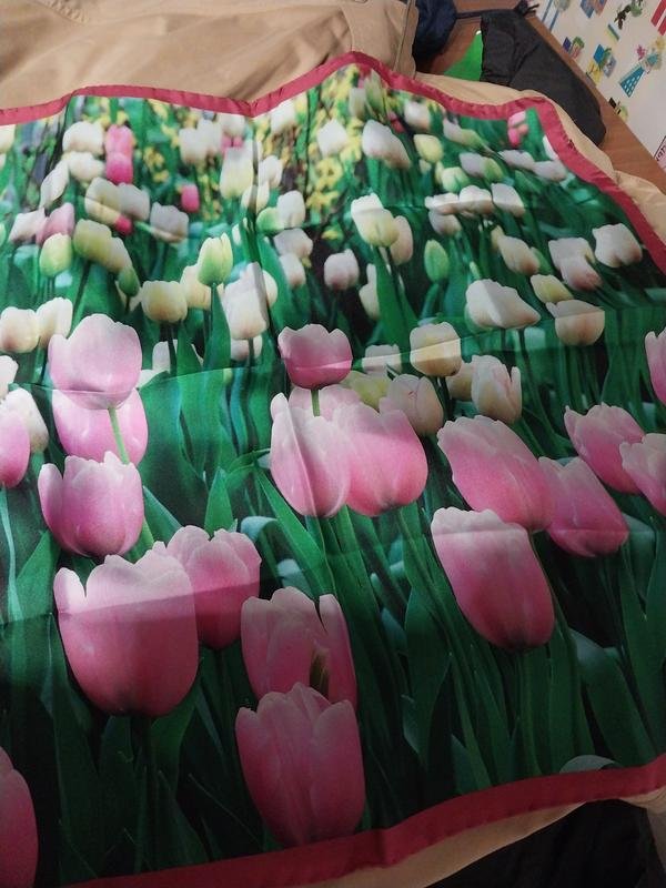 Damen DRYKORN Schal Rosa Seide