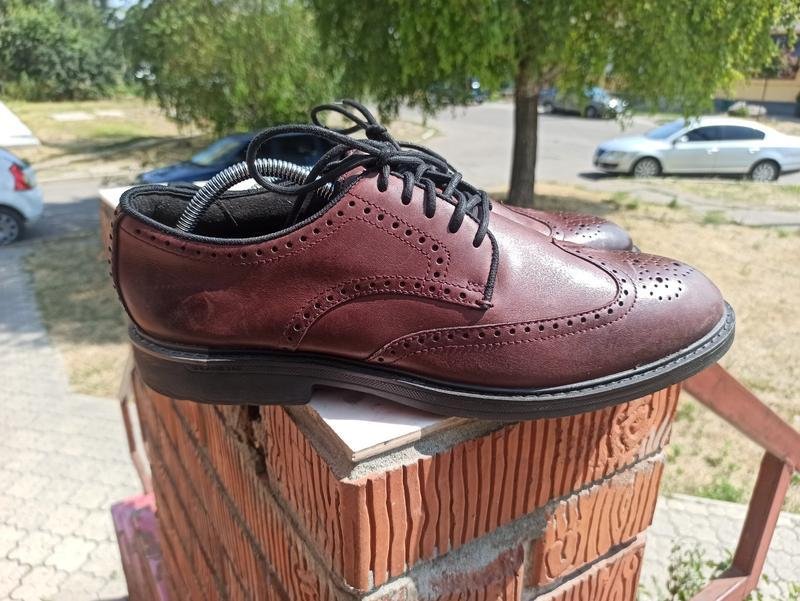 Мужские Cole Haan Туфли Коричневый Кожа 45