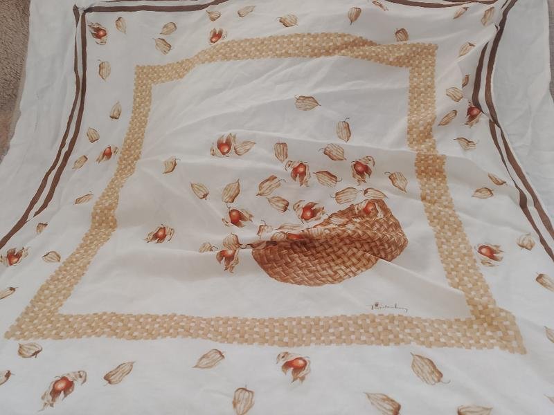 Femme Diane Von Furstenberg Écharpe Blanche Coton