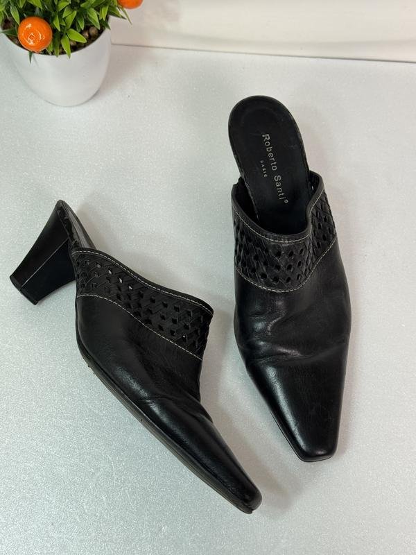 Женские Roberto Santi Сабо на каблуке Чёрный Кожа