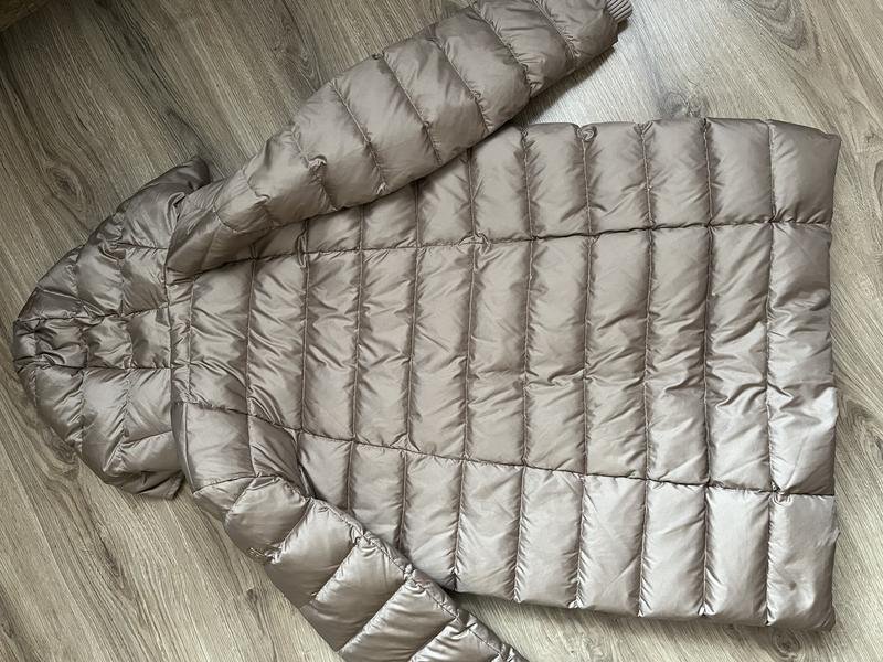 Women Betty Barclay Jacket Nude 38