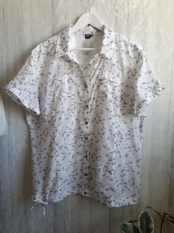 Femme Celine Chemisier Gris Coton XXL